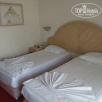 фото из отзыва ID 2033534