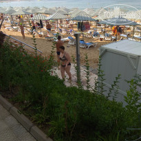 фото из отзыва ID 2033534