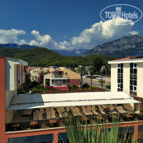 фото из отзыва ID 2033625