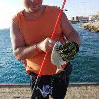 фото из отзыва ID 2033632