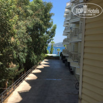 фото из отзыва ID 2033790