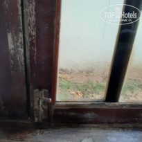 фото из отзыва ID 2033931