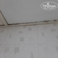 фото из отзыва ID 2033931