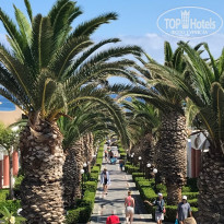 фото из отзыва ID 2033962