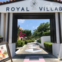 фото из отзыва ID 2033962