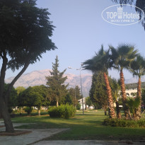 фото из отзыва ID 2034085