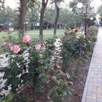 фото из отзыва ID 2034091