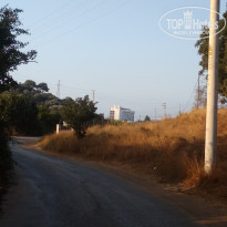 фото из отзыва ID 2034066