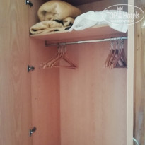 фото из отзыва ID 2033287