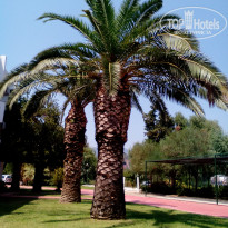 фото из отзыва ID 2034066