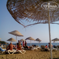 фото из отзыва ID 2034066