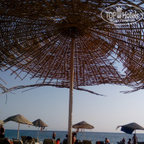 фото из отзыва ID 2034066