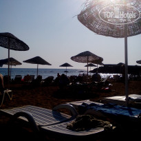 фото из отзыва ID 2034066