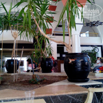 фото из отзыва ID 2034066