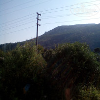 фото из отзыва ID 2034066