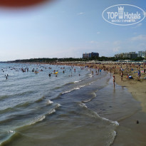 фото из отзыва ID 2034134