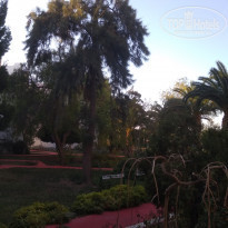 фото из отзыва ID 2034066