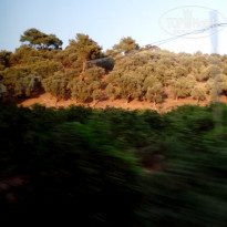 фото из отзыва ID 2034066