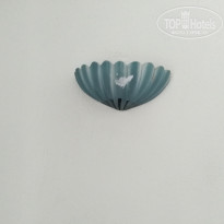 фото из отзыва ID 2031827