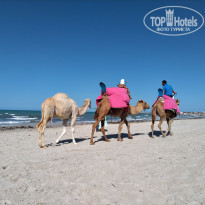 фото из отзыва ID 2034166