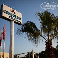 фото из отзыва ID 2034243