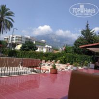 фото из отзыва ID 2034282