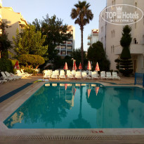 фото из отзыва ID 2034300