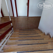 фото из отзыва ID 2034300