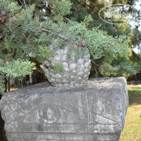 фото из отзыва ID 2034344