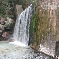 фото из отзыва ID 2034344