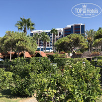 фото из отзыва ID 2034350