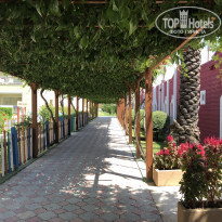 фото из отзыва ID 2034350