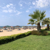 фото из отзыва ID 2034350