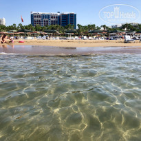 фото из отзыва ID 2034350