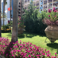 фото из отзыва ID 2034350