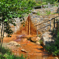 фото из отзыва ID 2034344