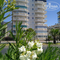 фото из отзыва ID 2034340