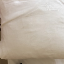 фото из отзыва ID 2034506