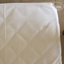 фото из отзыва ID 2034506