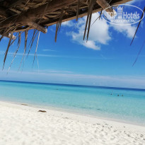 фото из отзыва ID 2034530