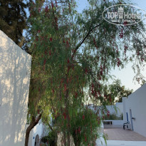 фото из отзыва ID 2034514