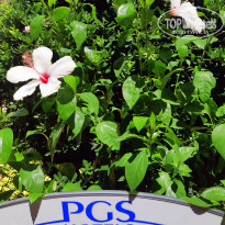 фото из отзыва ID 2034533