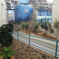 фото из отзыва ID 2034569