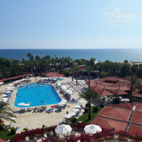 фото из отзыва ID 2034575