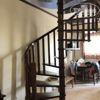 фото из отзыва ID 2034623