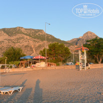 фото из отзыва ID 2034743