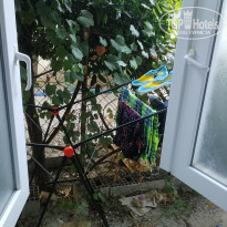 фото из отзыва ID 2034743