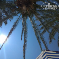 фото из отзыва ID 2034744