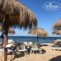 фото из отзыва ID 2034695