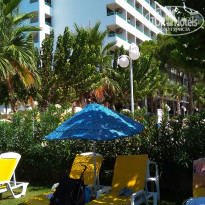 фото из отзыва ID 2034755